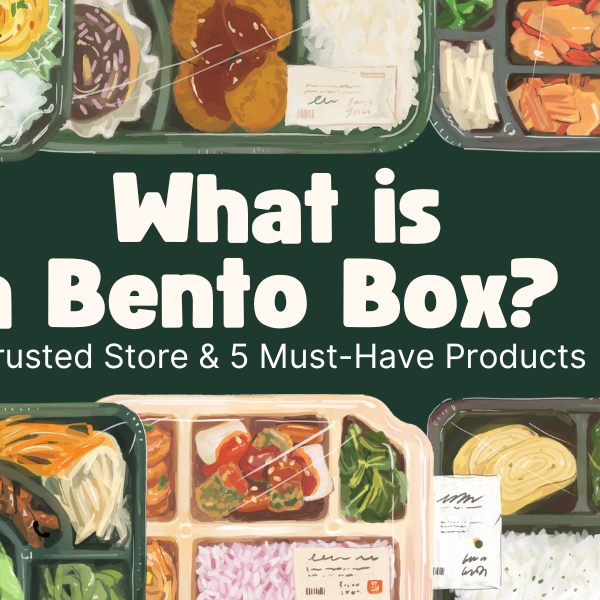 What is a Bento Box? Trusted Store & 5 Must-Have Products