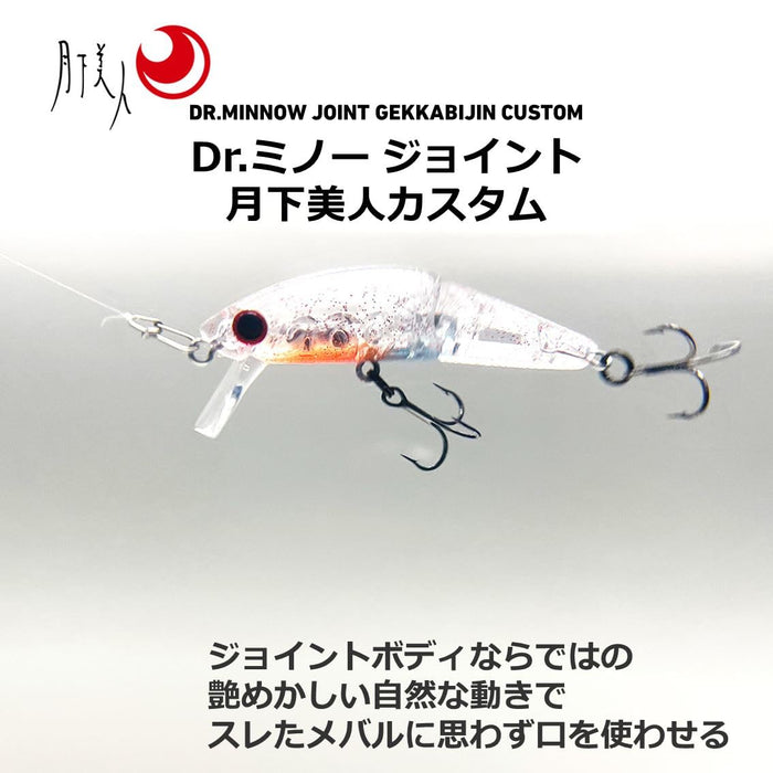 Daiwa Dr. Minnow Joint 5F - Moonflower Custom Ami Chirashi 鱼饵