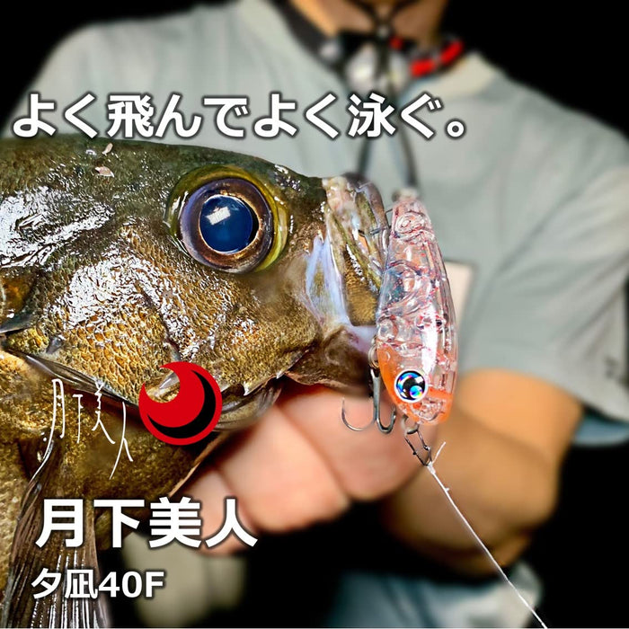 Daiwa Moonflower Yunagi 40F Holo-Yoi Shirasu Rockfishing/Ajing Lure