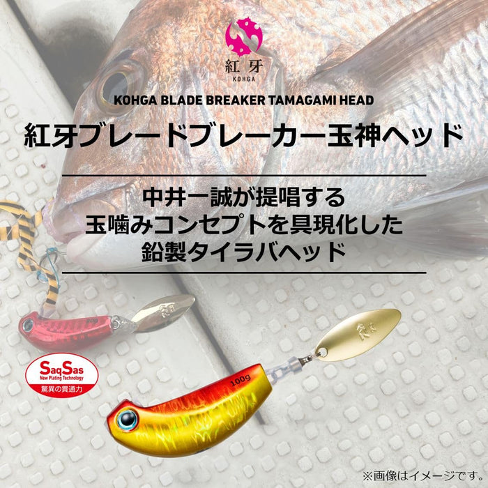 Daiwa Tairaba Kouga Blade Breaker 250G Fishing Lure Head Mg Akakin