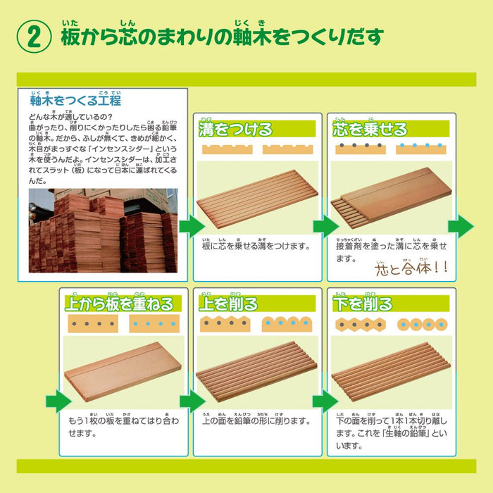 三菱铅笔 K880.24 - 适合小学生使用的黑色彩色铅笔 12 支