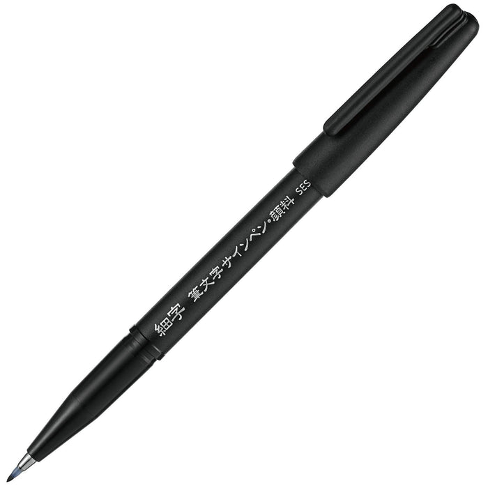 Pentel 细点笔刷 签字笔 颜料型 5 支装 - Xsesp15Fa