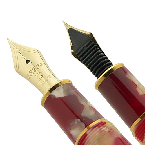 Platinum Fountain Pen #3776 Medium Point Goldfish Celluloid PTB-30000S#24-3