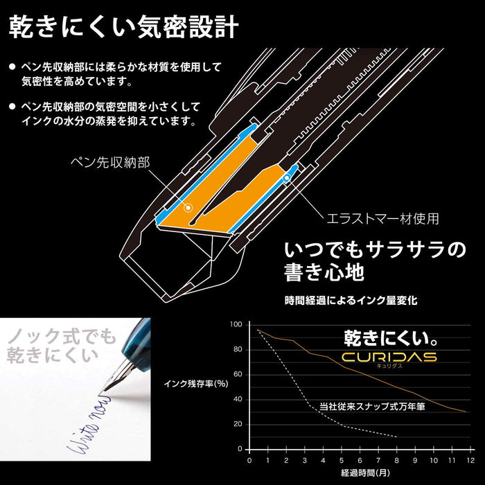 Platinum Curidas Extra Fine Graphite Smoke Fountain Pen PKN-7000#7-1