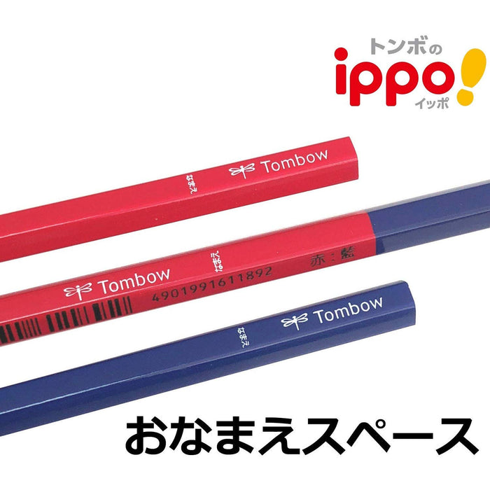 Tombow Ippo 蓝色彩色铅笔套装 - 12 支，适合精确圆整