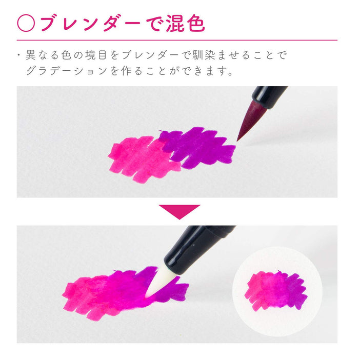 Tombow Galaxy 10 色双头毛笔套装 AB-T10CGA