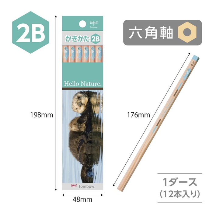 Tombow Hello Nature 2B Drawing Pencils Sea Otter Design Pack of 12