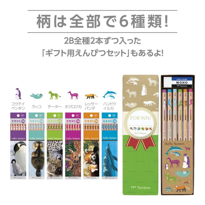 Tombow Hello Nature 2B 海獺設計繪圖鉛筆 12 支裝