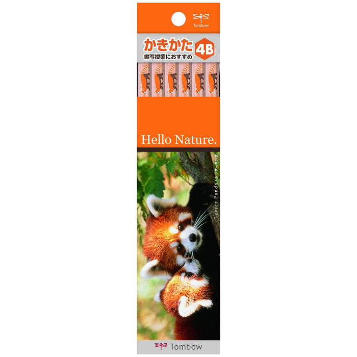 Tombow Red Panda Hello Nature 4B 铅笔 12 支装