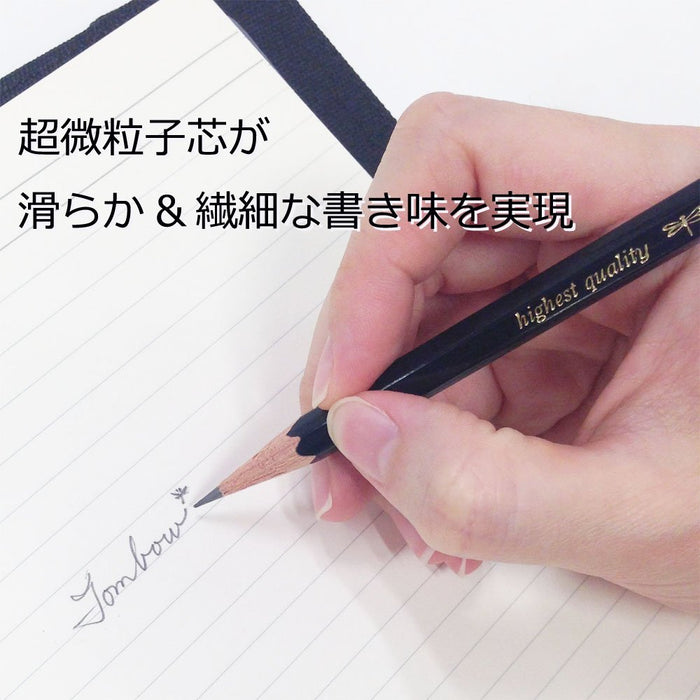 Tombow Mono 100 铅笔套装 高级 5B 硬度 12 支装