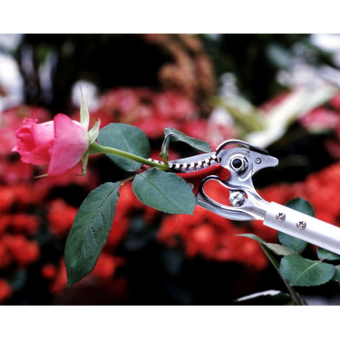 Ars Corporation Gardening Shears 150-0.6D