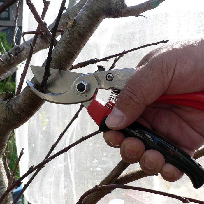 Ars Corporation Pruning Shears Vs-8R