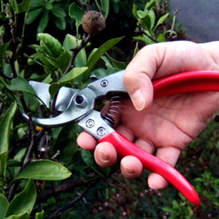 Ars VS-7Z Pruning Shears