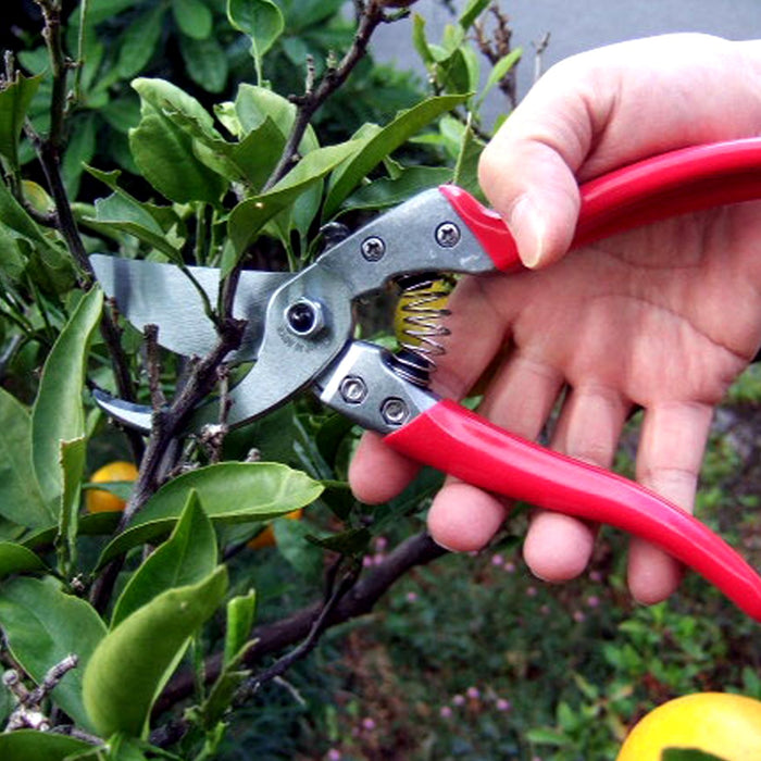 Ars Vs-9Z Pruning Shears