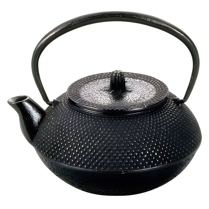 Asahi Cast Iron Tetsukyusu Teapot Arare 300ml - Authentic Japanese Tea Brewing Essential