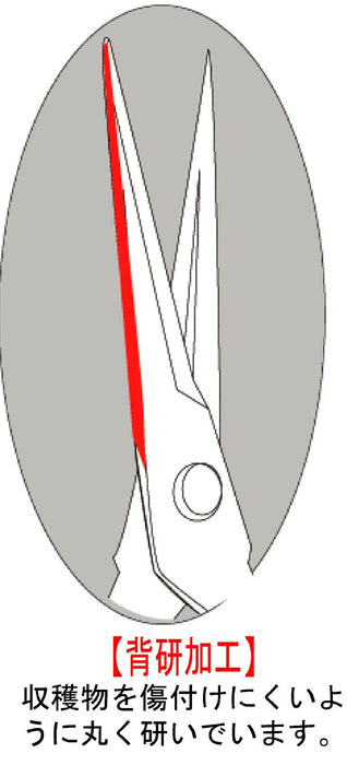 Chikamasa T-551 芽剪 50x185x17mm