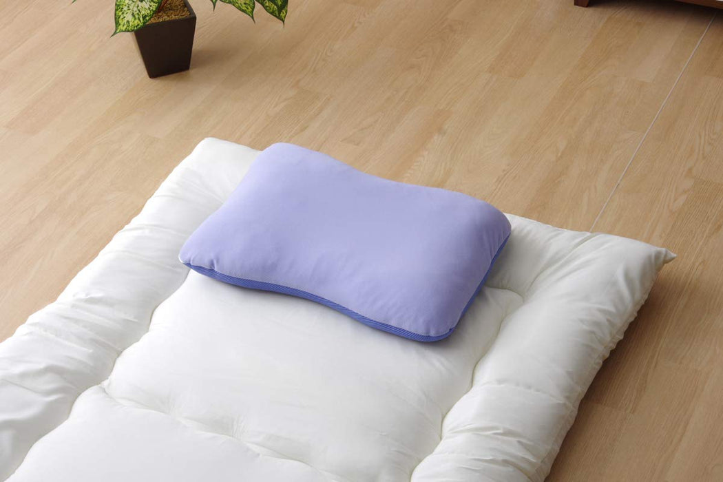 Ikehiko Corporation Pillow Washable Antibacterial Deodorizer (38x56cm)