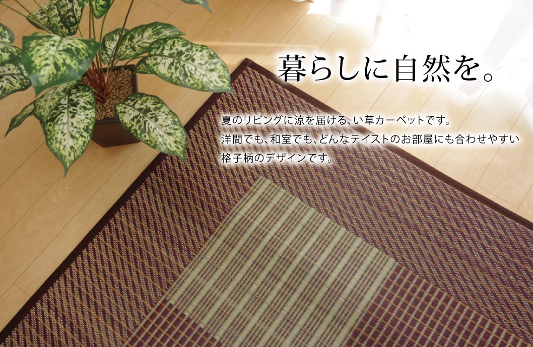 Ikehiko Corp 日本地毯 Rush Tatami Mat Square F 浅蓝色 - 用户友好的地板解决方案