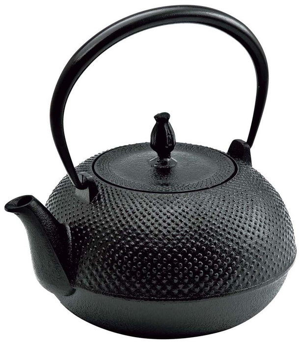 Nozomi Ikenaga Nambu Cast Iron Tetsubin Kettle - Premium Quality