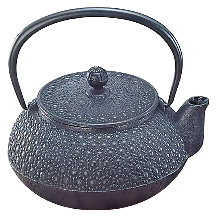 Iwachu Nambu Cast Iron Teapot Kikko 650ml - Authentic Japanese Tea Brewing Essential