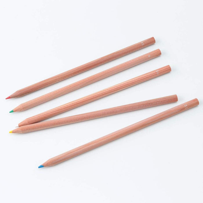 Mujirushi Ryohin 60-Color Colored Pencils in Paper Tube Case