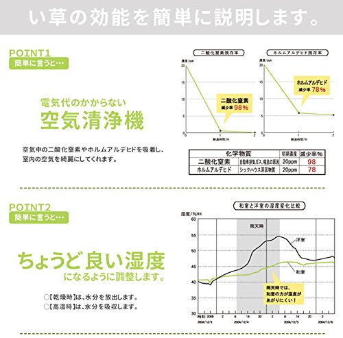 Ikehiko Corporation 日本 Noah 地垫和枕头套装 棕色 90X200Cm 地垫和 40X20Cm 枕头