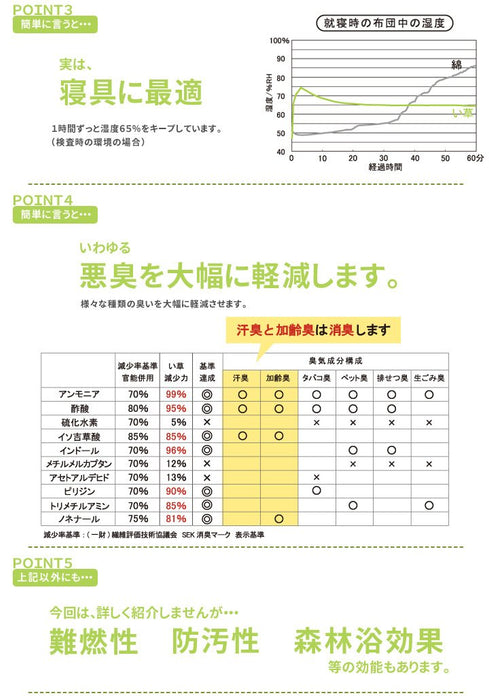 Ikehiko Corporation 日本 Noah 地垫和枕头套装 棕色 90X200Cm 地垫和 40X20Cm 枕头