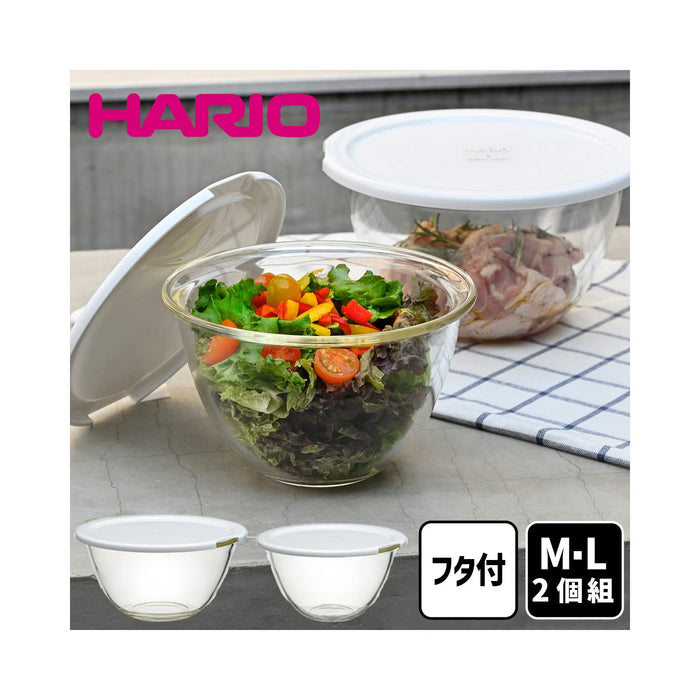 Set of 2 Hario Heat-Resistant Glass Bowls w/ Lid